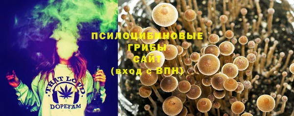 мет Аркадак